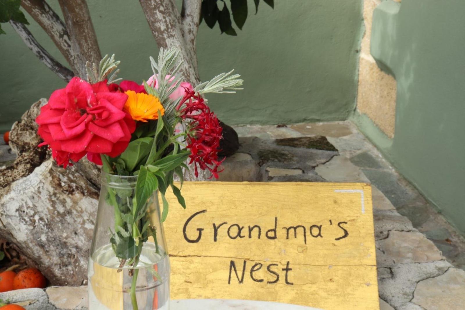 Villa Grandma'S Nest Kíssamos Exterior foto